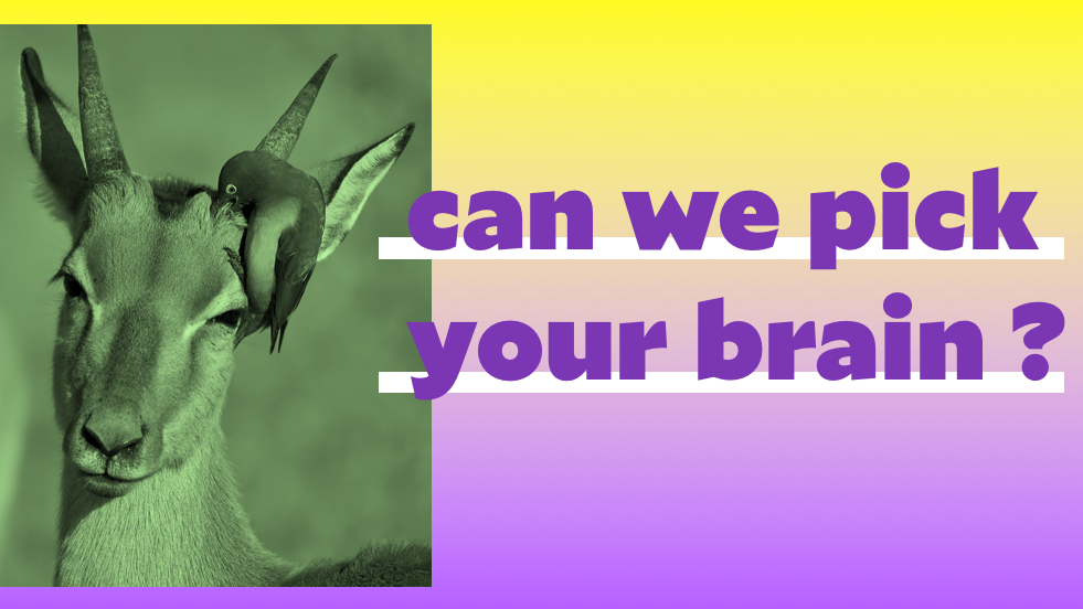 can we pick your brain?
